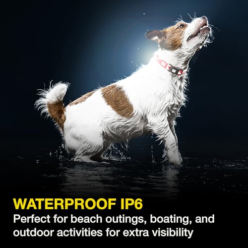 Max & Molly Rechargeable LED Dog Collar Light, Waterproof Silicone J519