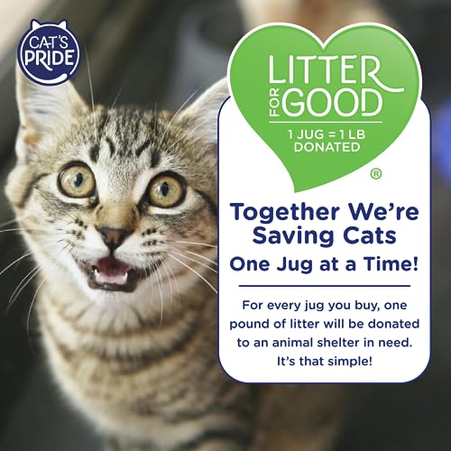 Cat's Pride Max Power UltraClean Low Tracking Multi-Cat Clumping Litter, Fresh Scent, 15 lbs (Pack of 2) H78851