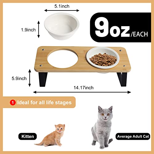Elevated Cat Food Bowl with Bamboo Stand, 15° Tilted Ceramic Cat Bowl N660