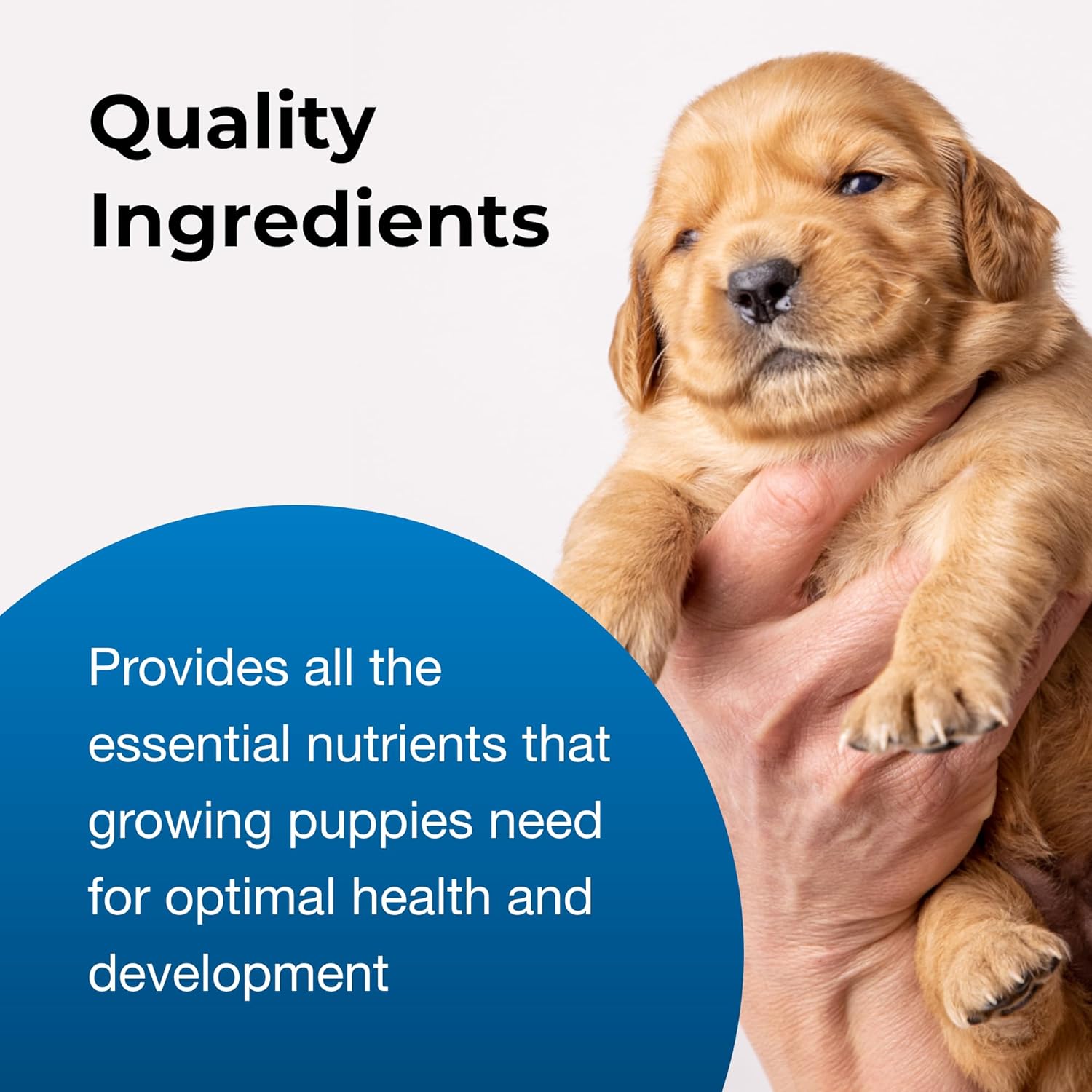 Pet-Ag Goat’s Milk Esbilac Powder for Puppies, 5 lb W12999