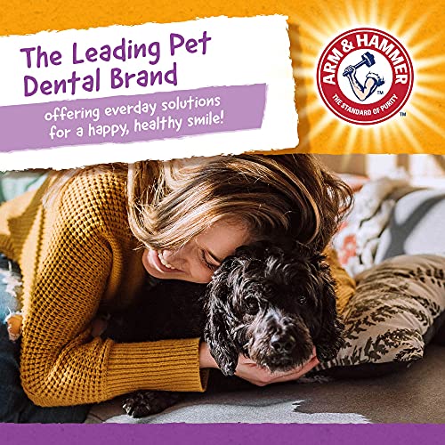 Arm & Hammer for Pets Nubbies Dental Treats for Dogs, Peanut Butter Flavor, 20 Count I693758