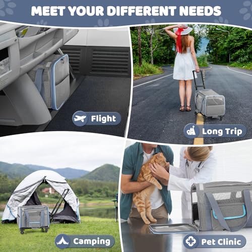 Pet Carrier for Small Dog Cat, Airline Approved Rolling Soft Sided Travel Bag Q516059