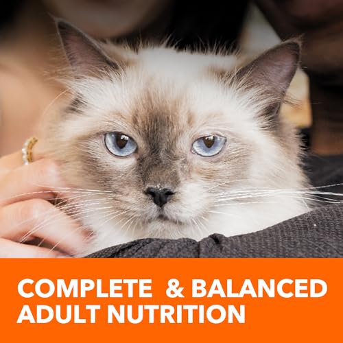 IAMS PROACTIVE HEALTH Adult Indoor Weight Control & Hairball Care Dry Cat Food with Chicken & Turkey, 7 lb. Bag G11740