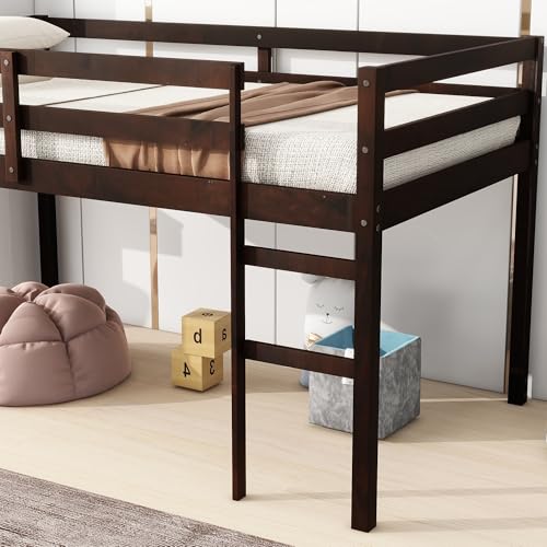Twin Size Low Loft Bed with Ladder and Safety Guardrail, Solid Wood, White D5235