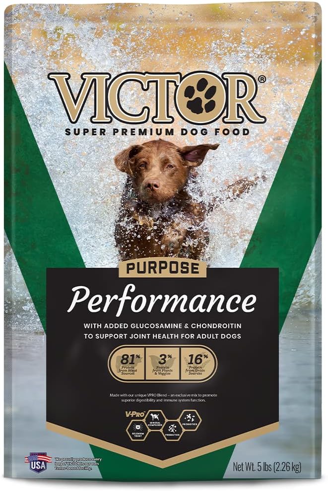 Victor Super Premium Dog Food – Performance Dry Dog Food – 26% Protein for Active Adult Dogs – includes Glucosamine and Chondroitin for Hip and Joint Health, 5lbs
