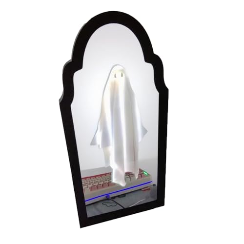 Halloween Hologram Ghost Mirror Decoration, LED Illuminated Haunted Decor, Black Frame (Style 1, Small(14" x 8"))