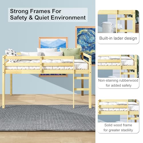 Twin Size Low Loft Bed with Ladder and Safety Guardrail, Solid Wood, White D5235