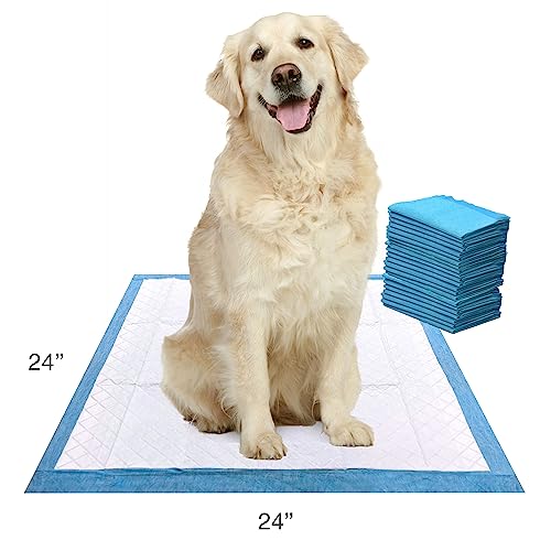 Four Paws Wee-Wee Super Absorbent Pee Pads for Dogs, Unscented, 24" x 24" (22 Count) W652