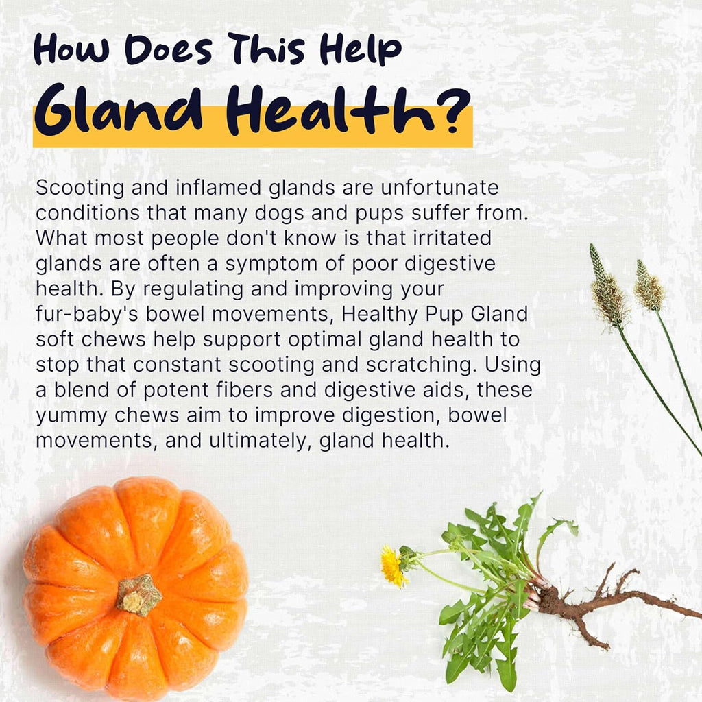 Glands Bowel Support Soft Chews for Dogs with Pumpkin Powder W38579