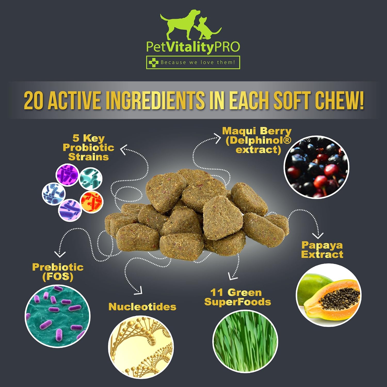 Probiotics for Dogs with Digestive Enzymes, 60 Soft Chews D1330
