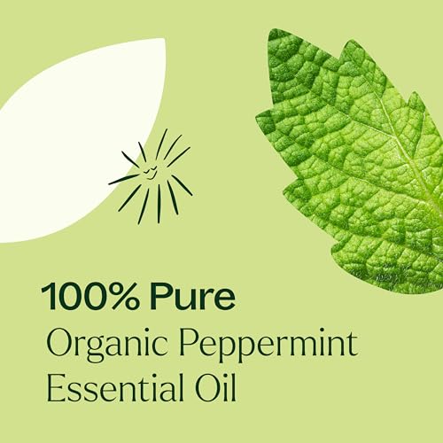 Plant Therapy Organic Frankincense Serrata Essential Oil 30 mL O8991