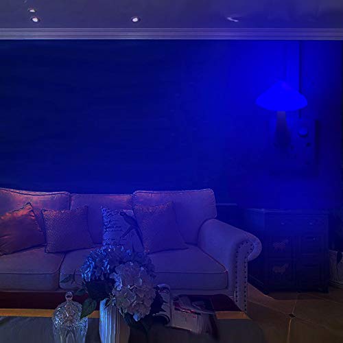 AUSAYE 5Pack Sensor LED Night Light Plug in Mushroom Lamp for Bedroom G797882