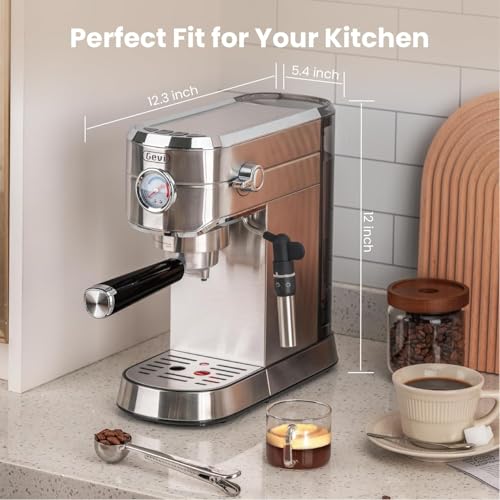 Gevi Espresso Machine 20 Bar with Auto Milk Frother, Stainless Steel D6478