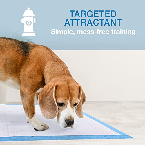 Four Paws Wee-Wee Super Absorbent Pee Pads for Dogs, Unscented, 24" x 24" (22 Count) W652