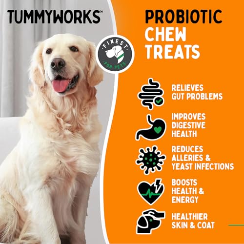 TummyWorks Probiotic 120 Soft Chews for Dogs, Digestive Health Support, Made in USA V4527