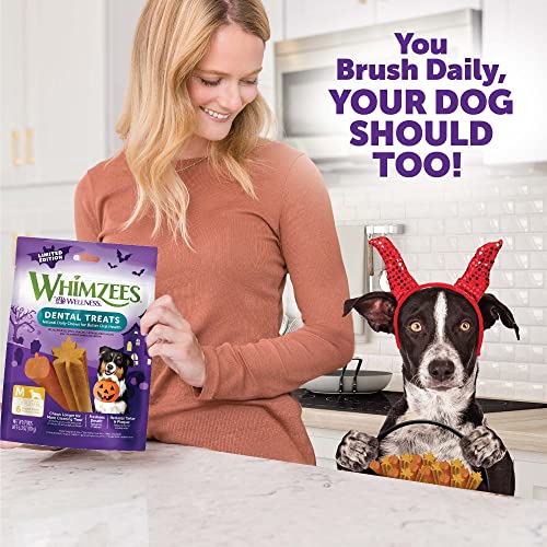 Whimzees by Wellness Halloween Natural Dental Chews for Dogs, Grain-Free, Medium, 24 count I236260