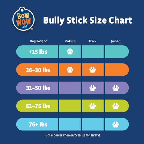 Bow Wow Labs 6" Beef Bully Sticks for Dogs - 10 Pack (Midsize) V501