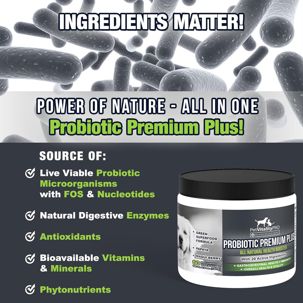 Probiotics for Dogs with Digestive Enzymes, 60 Soft Chews D1330