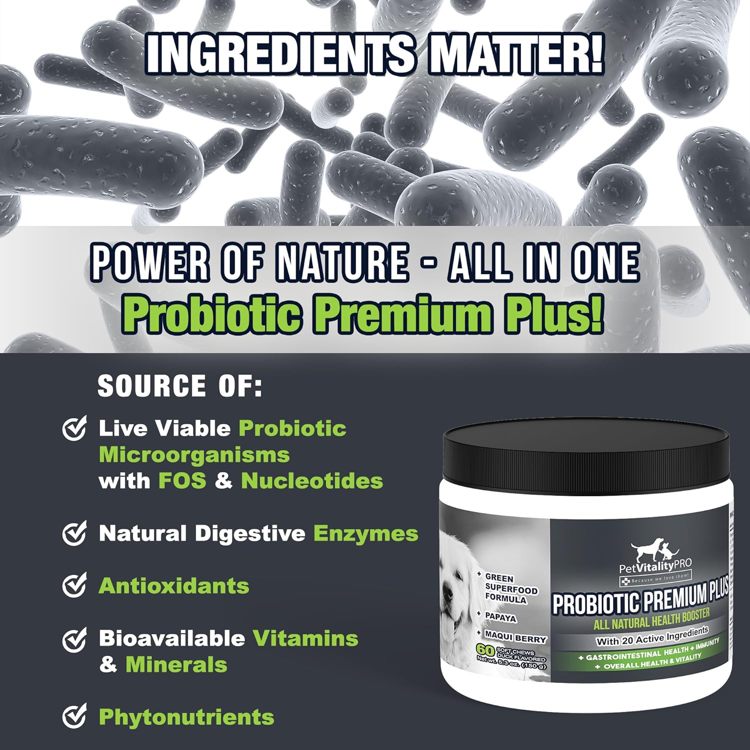 Probiotics for Dogs with Digestive Enzymes, 60 Soft Chews D1330