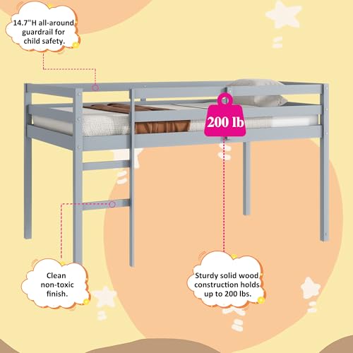 Twin Size Low Loft Bed with Ladder and Safety Guardrail, Solid Wood, White D5235