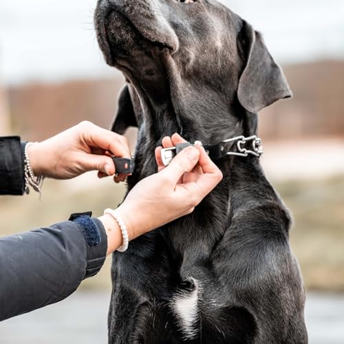 Herm Sprenger Prong Collar for Dog Training with Quick Release Cliclock, 2.25mm, Small/Medium C48075