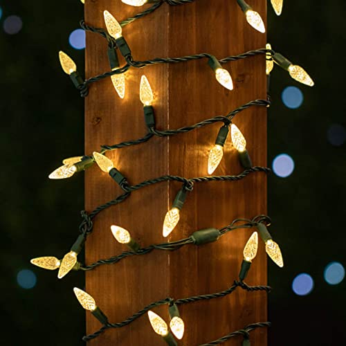 Novelty Lights 24ft 70 LED Purple/Lime Green Halloween String Lights L643884