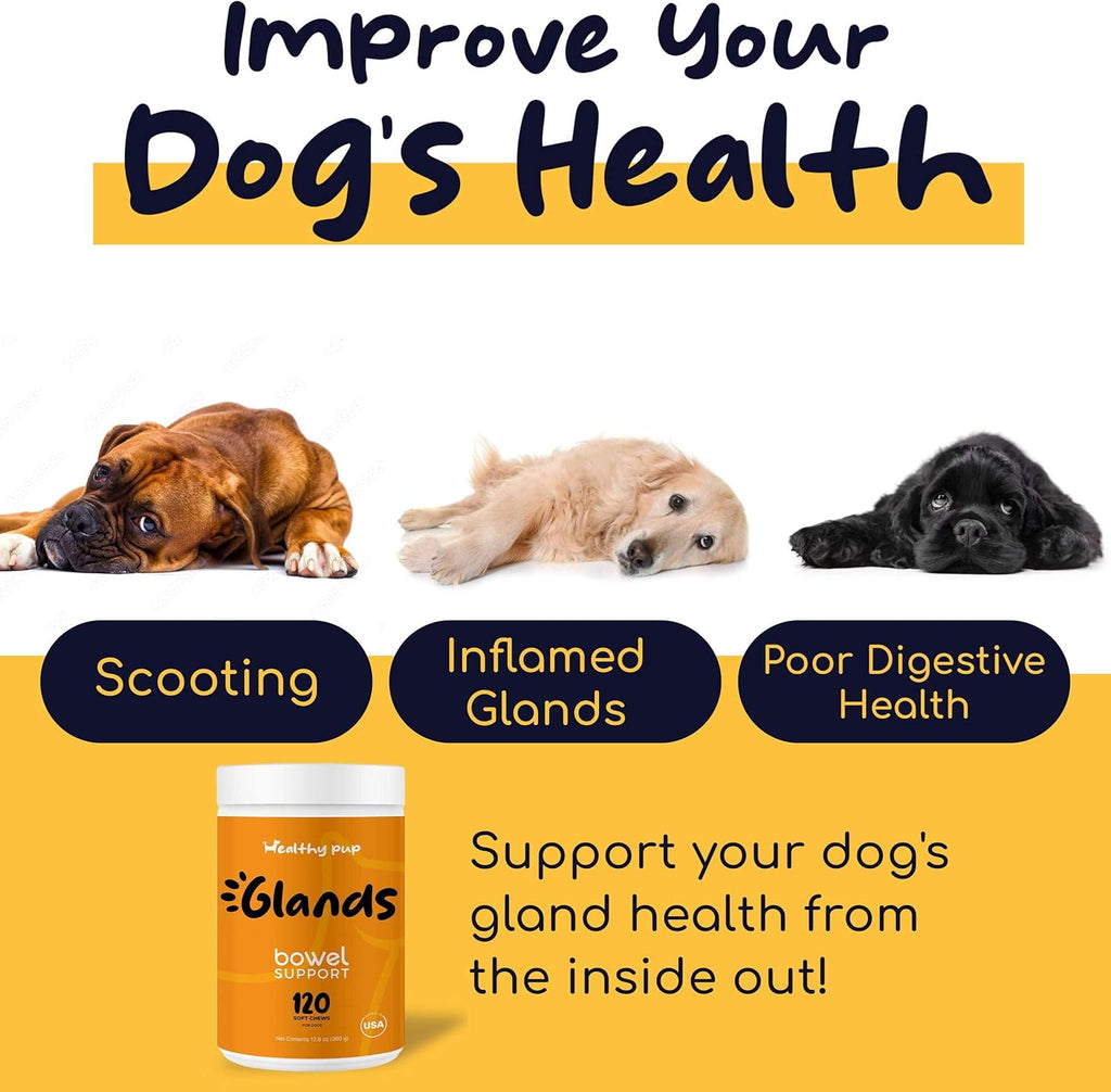 Glands Bowel Support Soft Chews for Dogs with Pumpkin Powder W38579