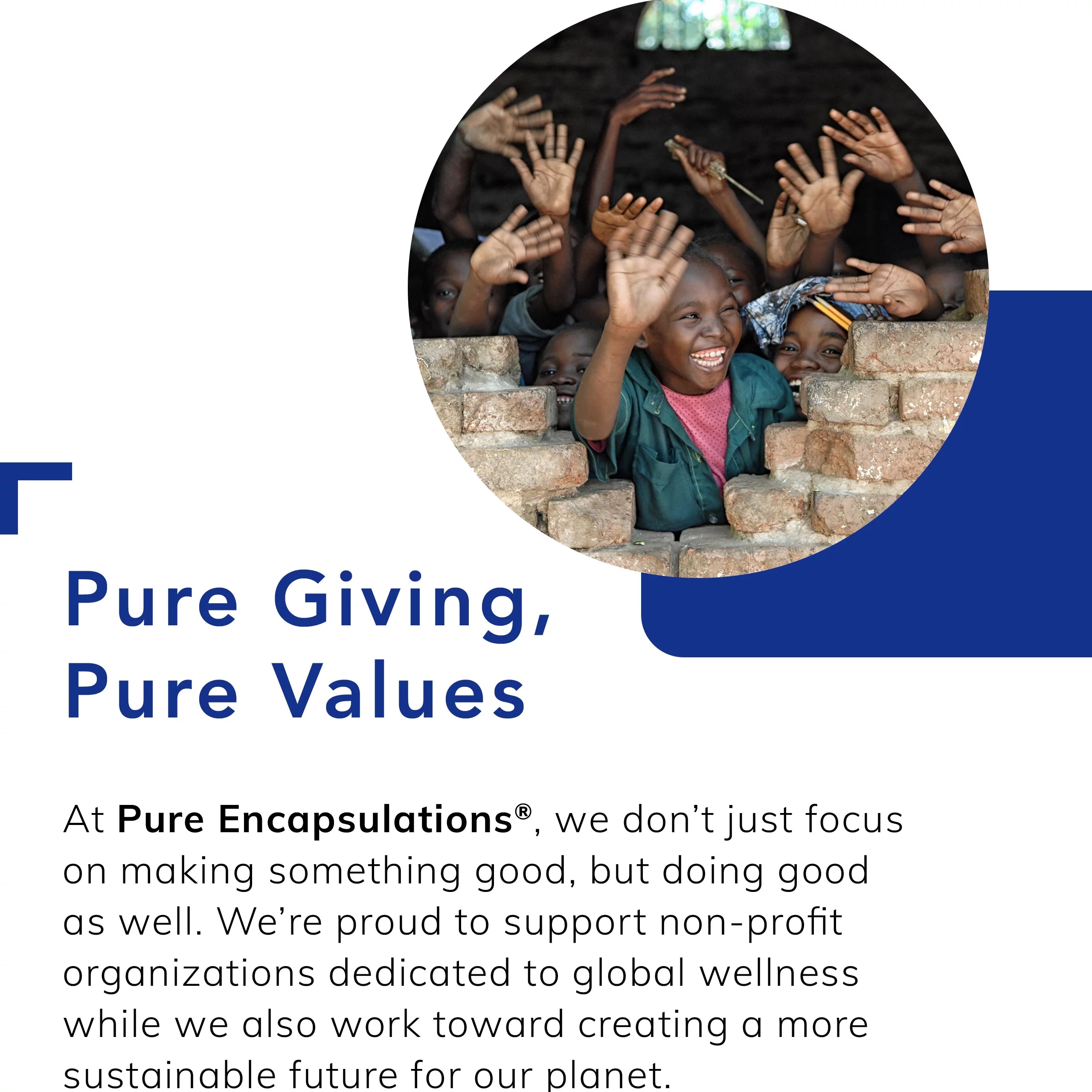 Pure Encapsulations Renual Muscle Function & Cellular Energy Support, 60 Capsules U632331
