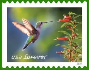 Garden Delights First-Class Mail Forever Postage Stamps Scott #5845-5848 H170831