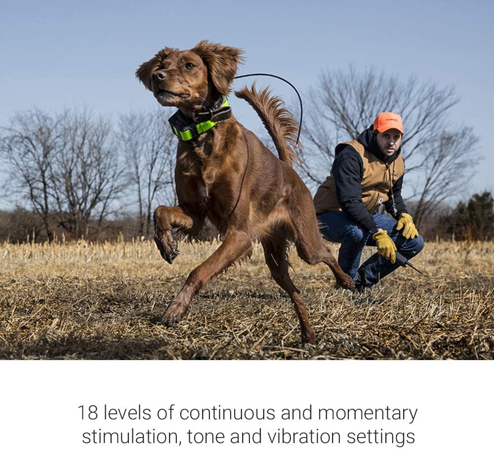 Garmin Pro 550 Plus Dog Training System with GPS Tracking D75568
