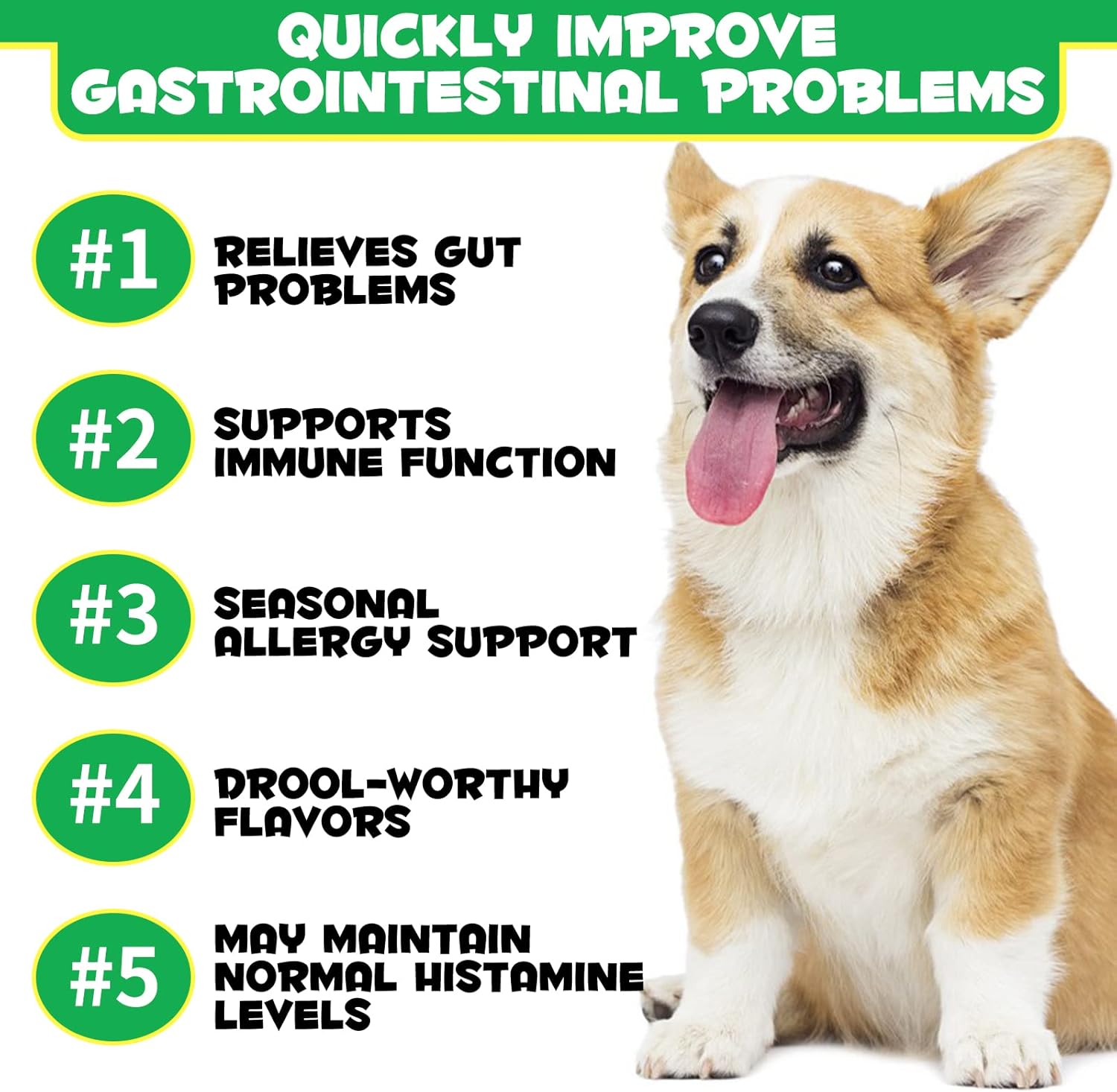 Probiotics for Dogs Digestive Enzymes & Gut Health, 120 Soft Chews, Duck Flavor A90169