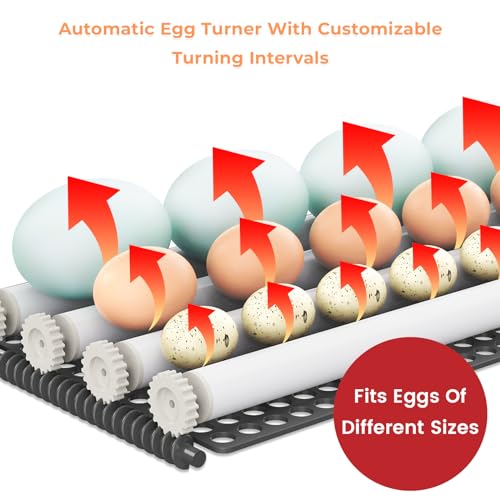 TRIOCOTTAGE MN24 Egg Incubator with Automatic Turner for Hatching Chicken, Quail & Poultry G4943