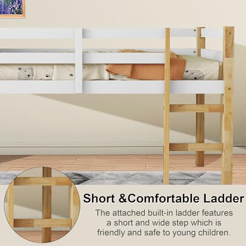 Twin Size Low Loft Bed with Ladder and Safety Guardrail, Solid Wood, White D5235