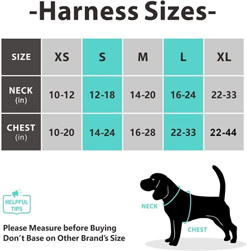 PoyPet No Pull Dog Harness Reflective Adjustable No Choke Pet Vest with 2 Leash Attachments, Purple S B927