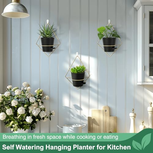 3 Sets Black Hanging Wall Planters for Indoor Plants with Self-Watering H953230
