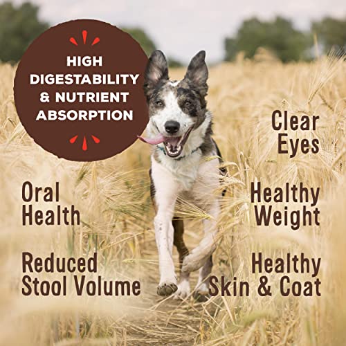 Primal Freeze Dried Dog Food Nuggets, Pork, Grain Free, 14 oz X399521