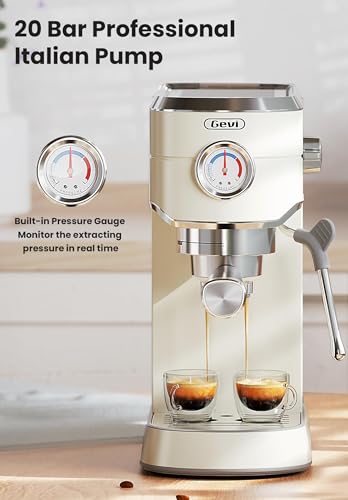 Gevi Espresso Machine 20 Bar with Auto Milk Frother, Stainless Steel D6478