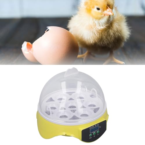 Mini Egg Incubator 7 Eggs with Temperature Control, Poultry Hatcher Machine E67862