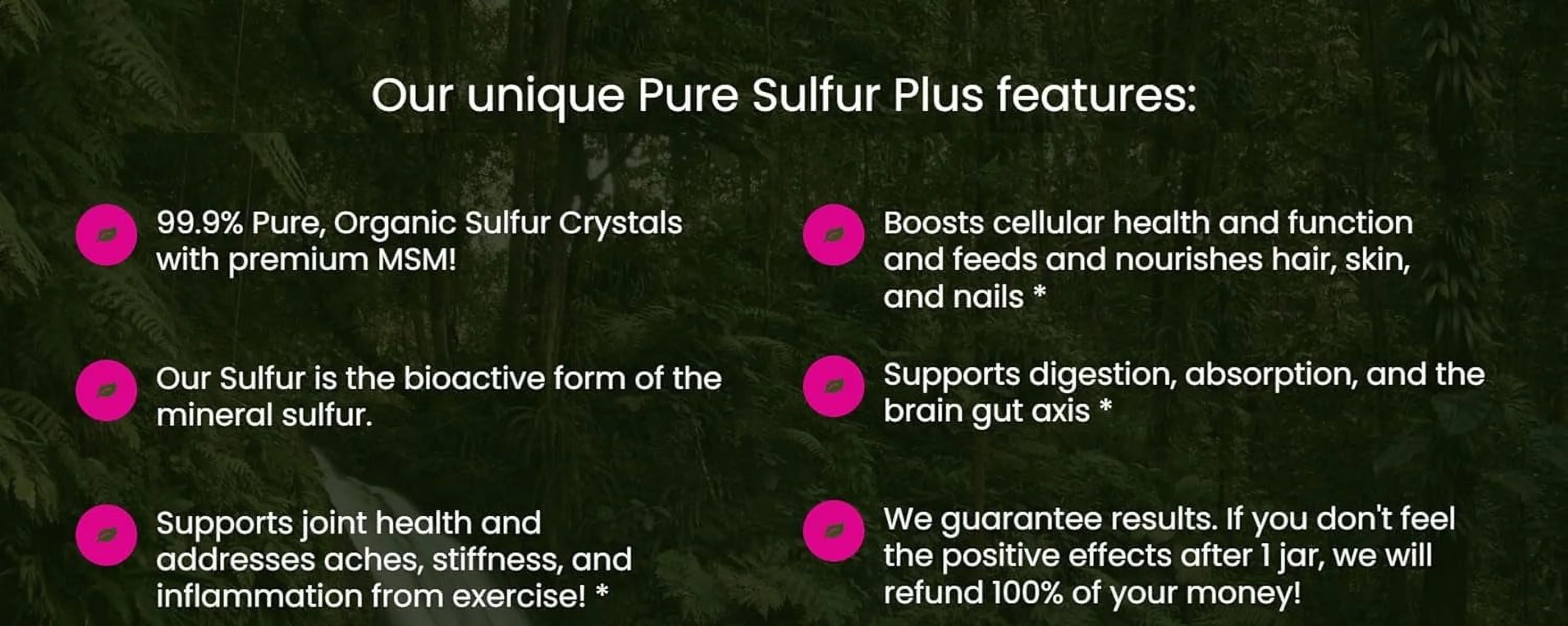 Pure Sulfur Supplement - 60 Servings O169