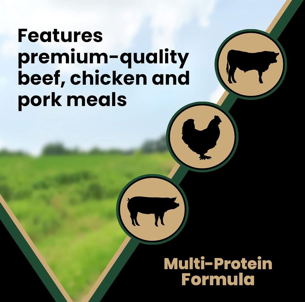 Victor Super Premium Dog Food Performance Dry, 5lbs Z931342