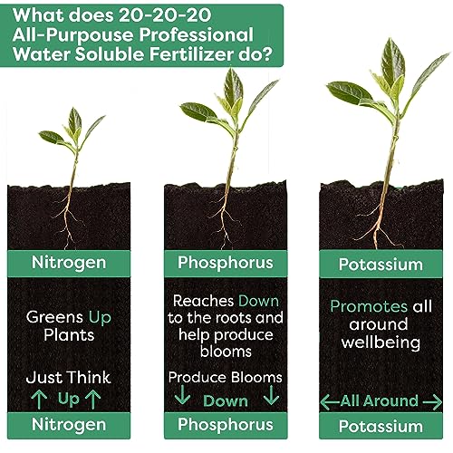 Gardenwise 20-20-20 All Purpose Water Soluble Fertilizer, Plant Food, 1/2 Quart E4358