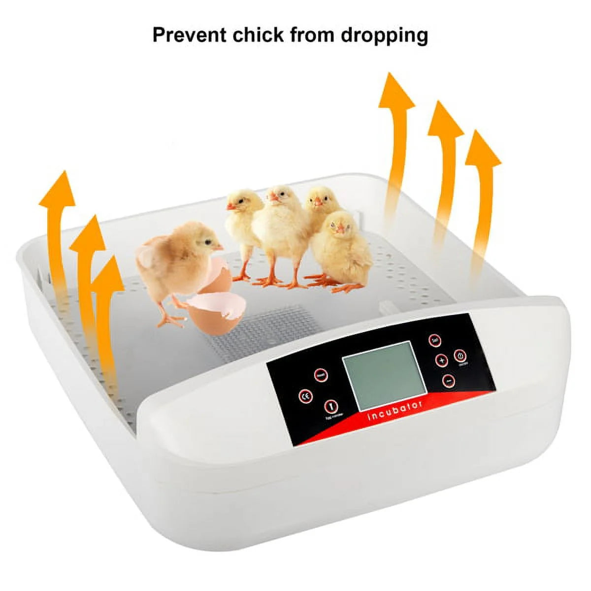 56-Egg Incubator with Automatic Egg Turning, Humidity & Temperature Control F6655