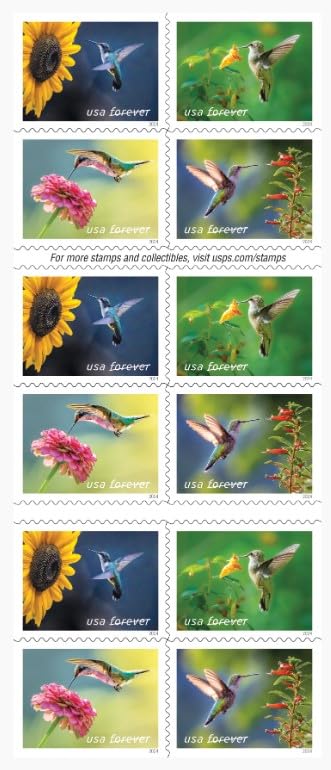 Garden Delights First-Class Mail Forever Postage Stamps Scott #5845-5848 H170831