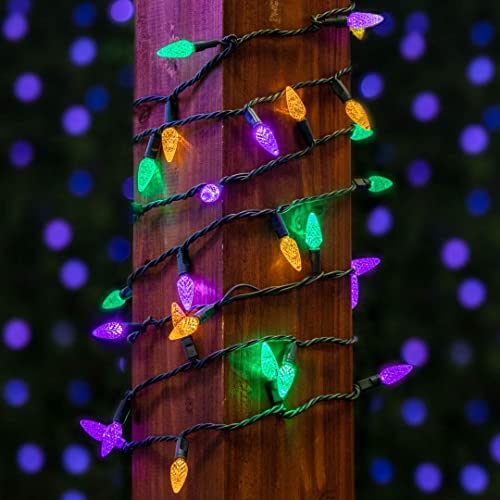 Novelty Lights 24ft 70 LED Purple/Lime Green Halloween String Lights L643884