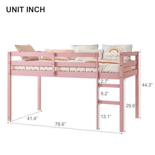 Twin Size Low Loft Bed with Ladder and Safety Guardrail, Solid Wood, White D5235