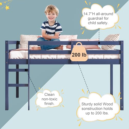 Twin Size Low Loft Bed with Ladder and Safety Guardrail, Solid Wood, White D5235