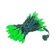 Novelty Lights 24ft 70 LED Purple/Lime Green Halloween String Lights L643884