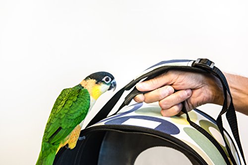 Prevue Pet Products Soft Sided Bird Travel Carrier with Perch, Small H41908