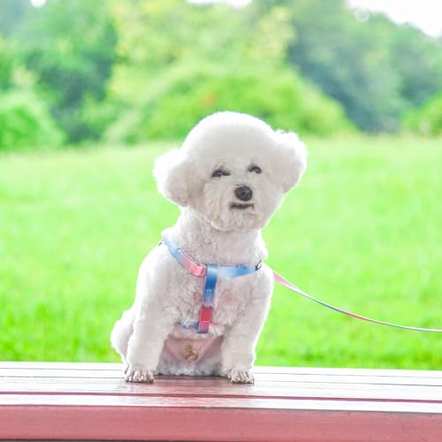 AIITLE Dog Harness Easy On Off Step in Adjustable with Leash for Medium Dogs Pink-Purple O515974