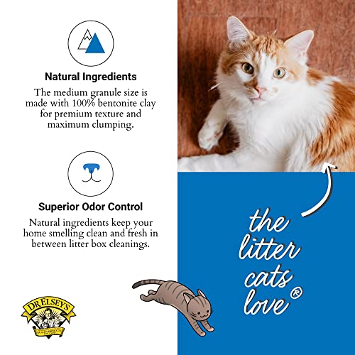 Dr. Elsey's Precious Cat Ultra Premium Cat Litter, 20-Pound Q171682